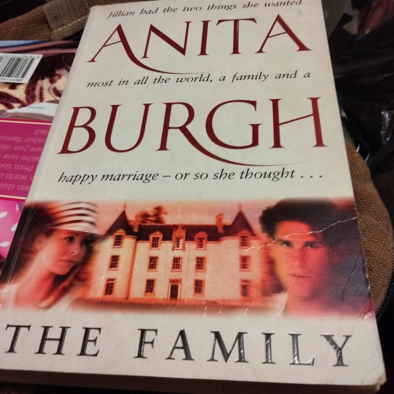 Anita Burgh The Family PB 1999 softcover Pre-owned LOOK At my BUY NOW items NO WAITING