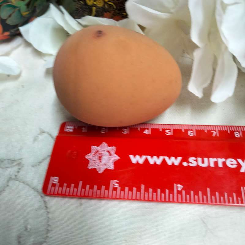 3 eggs Composite -2 artistically decorated + 1 hen  egg colourLOOK At My BUY NOW LISTINGS NO WAITING