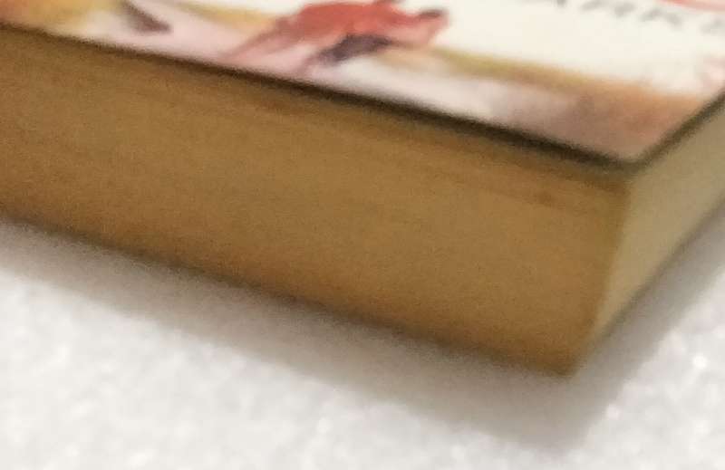 Nicholas Sparks - The Choice- PB 2007 Book soft cover Pre-owned