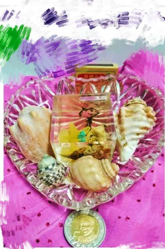 Heart shaped Glass dish + 4 Sea shells + Art Perspex Square inside sea shells