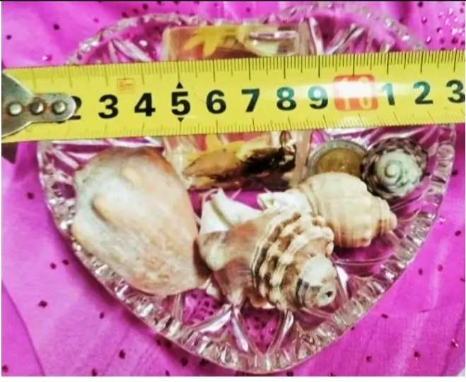 Heart shaped Glass dish + 4 Sea shells + Art Perspex Square inside sea shells