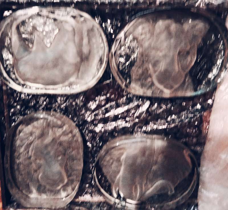 Set 4 Paperweight - heavy Glass Cast Sandblasted Projected in 3D to front