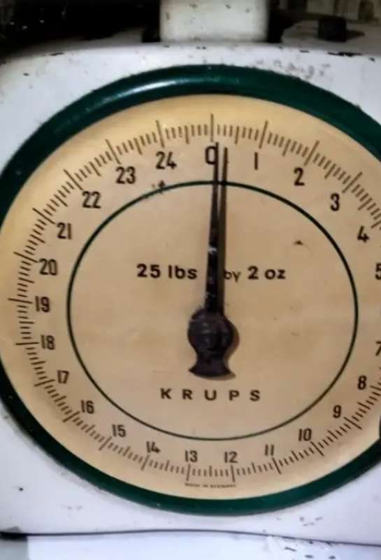 1 Krups Enamel Scale Metal has plastic bowl top