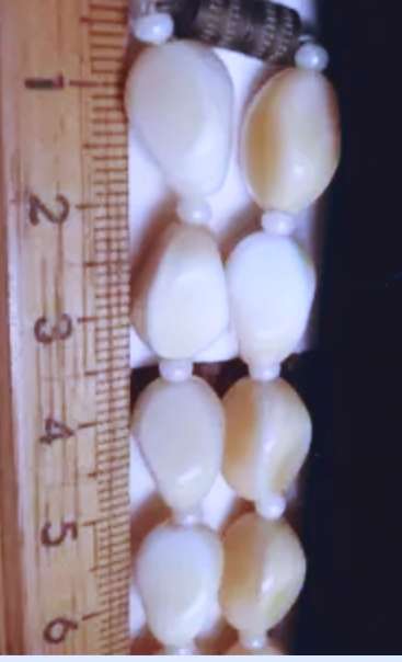 NECKLACE Butterscotch Mother of Pearl Polished  Organic - LOOK At All My BUY NOW items NO