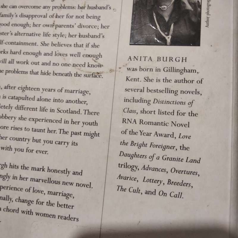 Anita Burgh The Family PB 1999 softcover Pre-owned LOOK At my BUY NOW items NO WAITING
