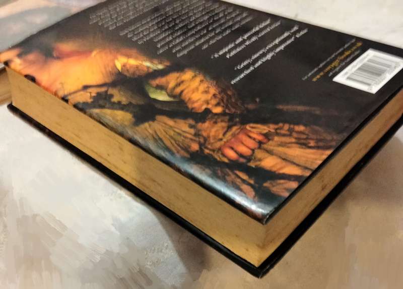 FIRETHORN desire+magic can both draw blood SARAH MICKLEM PB2005hardcoverLOOK AtMy BUY NOW-NO WAITING