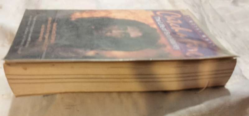 Catch a Fire-The Life of Bob Marley Timothy White revisedEditionPB1992 B+W pics Pre-owned softcover