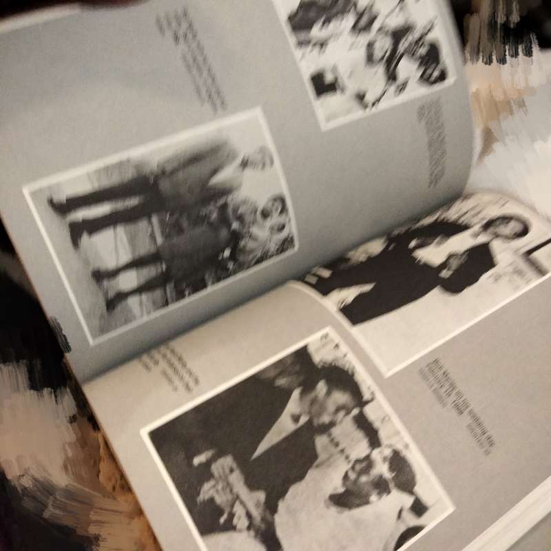 Catch a Fire-The Life of Bob Marley Timothy White revisedEditionPB1992 B+W pics Pre-owned softcover