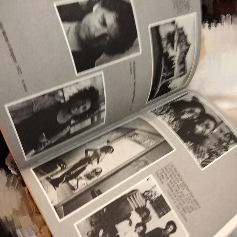 Catch a Fire-The Life of Bob Marley Timothy White revisedEditionPB1992 B+W pics Pre-owned softcover