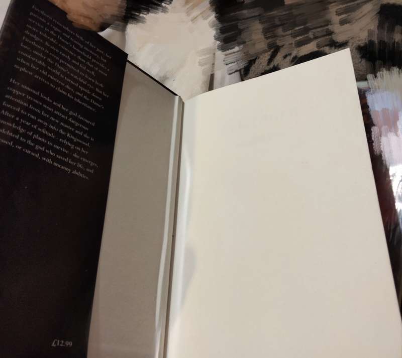 FIRETHORN desire+magic can both draw blood SARAH MICKLEM PB2005hardcoverLOOK AtMy BUY NOW-NO WAITING