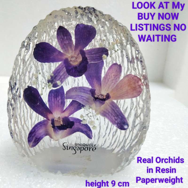 real ORCHIDS preserved in RESIN PAPERWEIGHT-NOT GLASS -LOOK at My BUY NOW LISTINGS NO WAITING