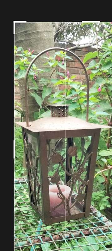 Lantern Candle holder LARGE METAL Traditional floral - insect -LOOK At My BUY NOW-NO WAITING