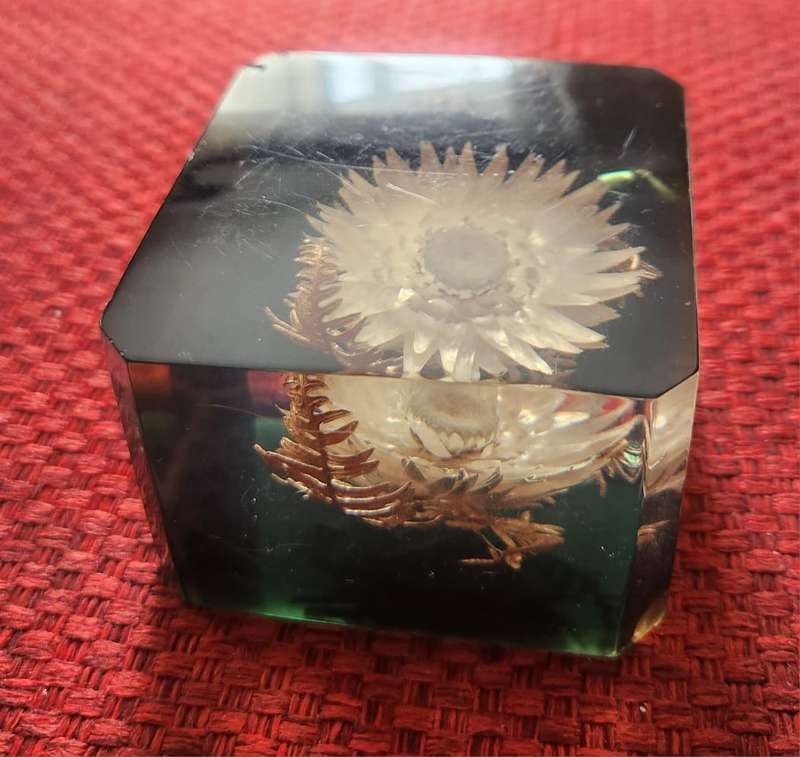 Lucite paperweight, with dried pop of white center flower