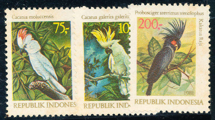 Indonesia - 1981 - Cockatoos - set of 3 mint unhinged . 1637-1639 .