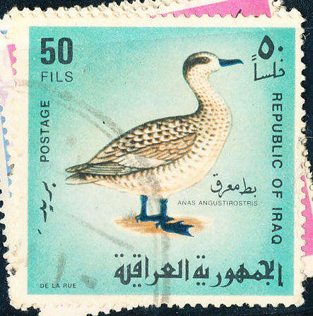 Iraq - 1968 - Iraqi Birds - set of 7 fine used . SG 794-800 .