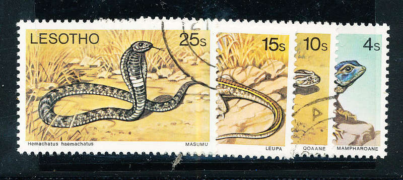 Lesotho - 1979 - Reptiles - set of 4 fine used . SG  371-374 .