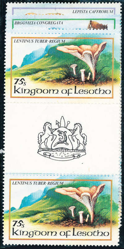 Lesotho - 1983 - Fungi - set of 4 in gutter pairs mint unhinged . SACC 532-535 .