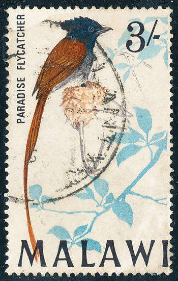 Malawi - 1968 - Birds - 3s (Africa Paradise Flycatcher) fine used .