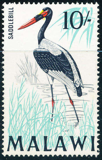 Malawi - 1968 - Birds - 10s (Saddle Bill Stork) mint unhinged . SG 321 .