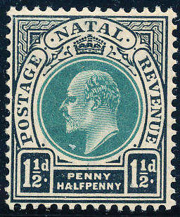 Natal - 1902 - 1903 - Edw 7 - 1½d green & black mint unhinged . SACC 129 .