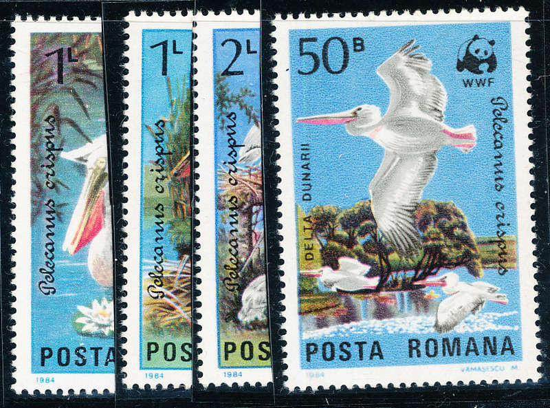Romania - 1984 - Pelicans - set of 4 mint unhinged . SG 4899-4902 .