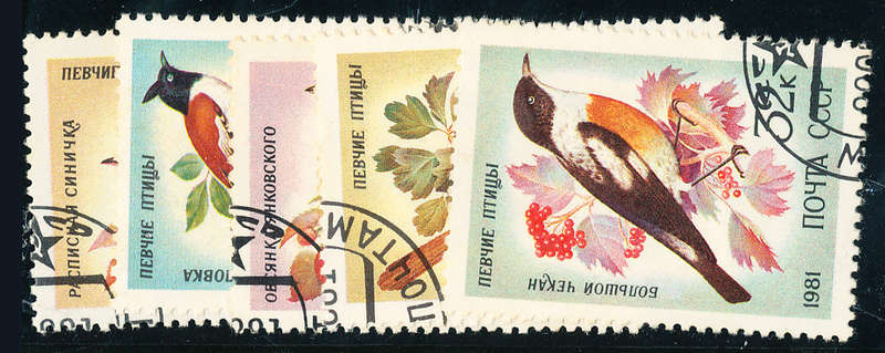 Russia - 1981 - Song Birds - set of 5 fine used. SG 5144-5148 .