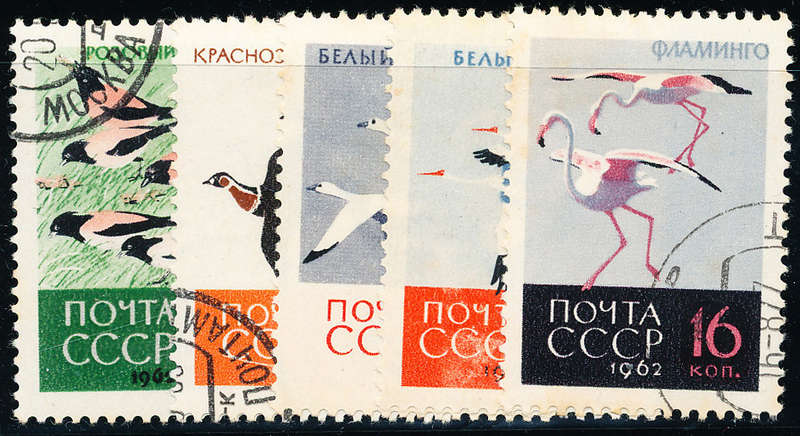 Russia - 1962 - Birds - set of 5 fine used . SG 2783-2787 .