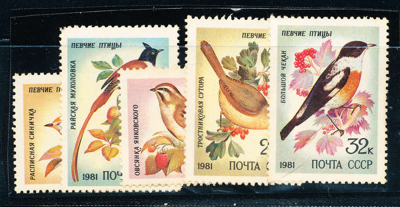 Russia - 1981 - Song Birds - set of 5 mint hinged . SG 5144-5148 .