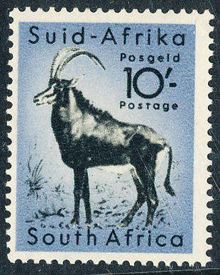 South Africa - 1954 - Animal Defins - 10s sable antelope mint unhinged . SG 163 .