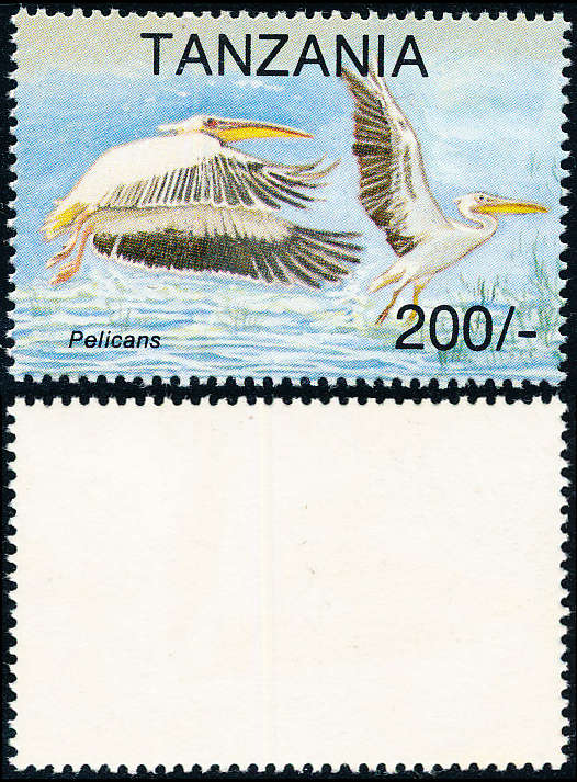 Tanzania - 1994 - Birds - 2005 (White Pelicans) mint unhinged. SG 1775 .