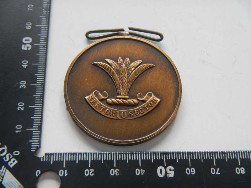 SECTOR 10 SHOOTING MEDAL