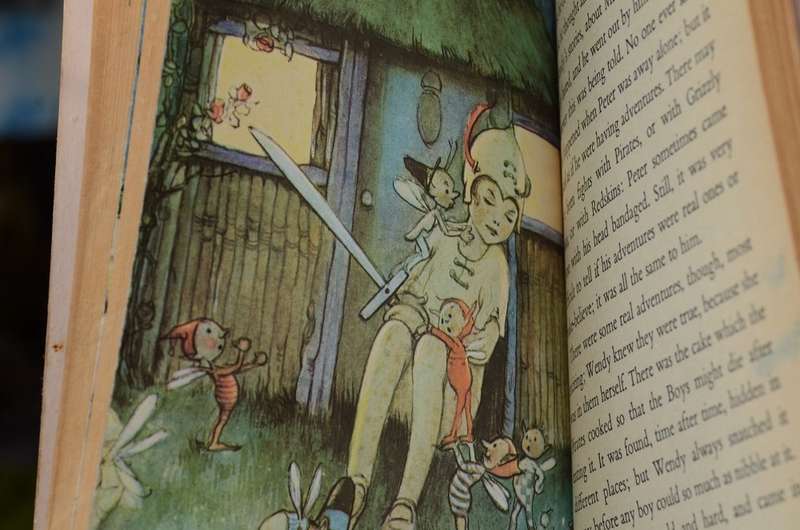 Peter Pan and Wendy by JM Barrie