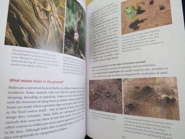 Beat About The Bush : Mammals and Birds - Trevor Carnaby