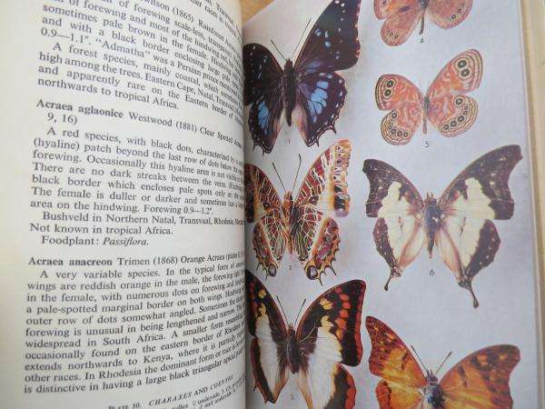 The Butterflies of Southern Africa - Dr. E. Pinhey