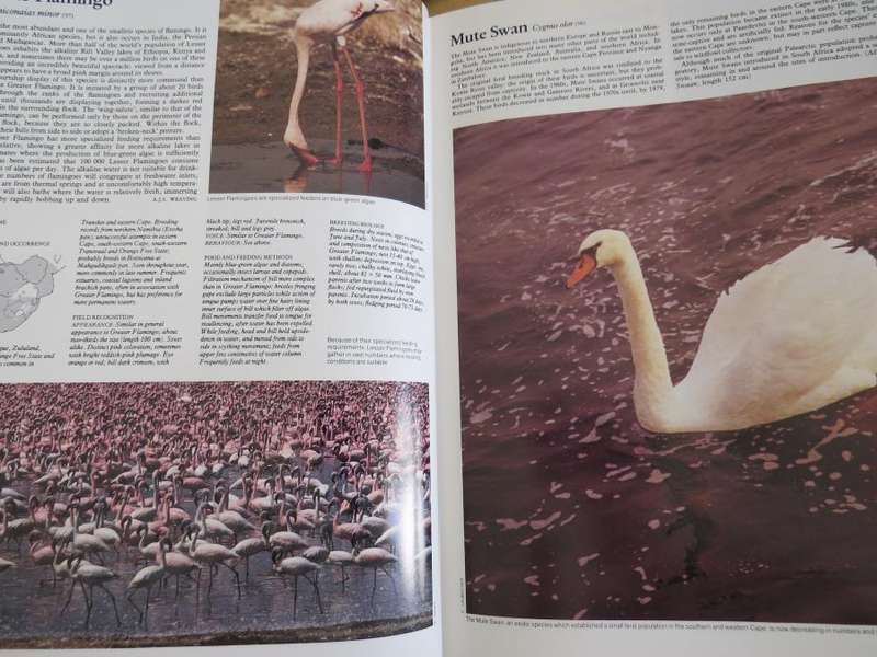The Complete Book of Southern African Birds - Ginn, McIlleron, Milstein