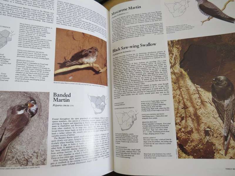 The Complete Book of Southern African Birds - Ginn, McIlleron, Milstein