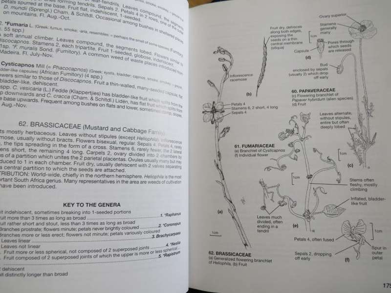 The Levyns Guide to the Plant Genera of the Southwestern Cape - Terry H. Trinder-Smith