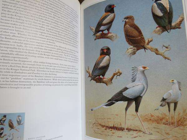 Hunters of the African Sky - Peter Steyn & Graeme Arnott