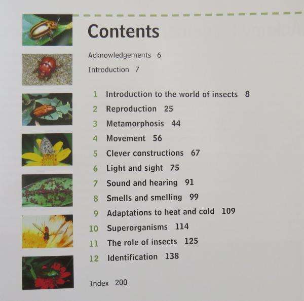 Insectopedia - Erik Holm