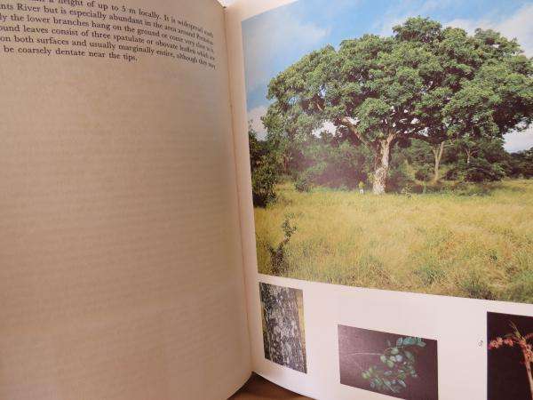 Trees of the Kruger National Park - P. van Wyk