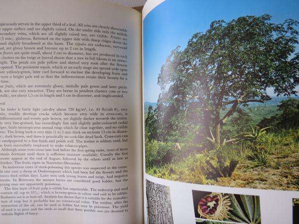 Trees of the Kruger National Park - P. van Wyk