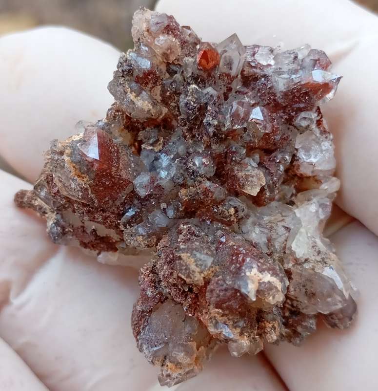 Hematite in quartz - Orange River N Cape South Africa