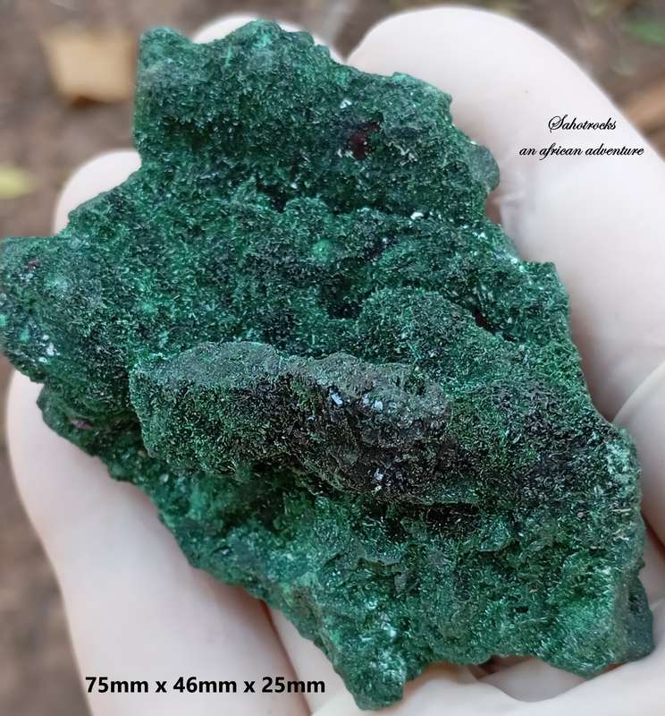Malachite chrysocolla - Mashamba West mine DRC Congo