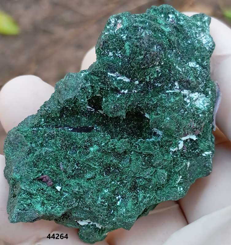 Malachite chrysocolla - Mashamba West mine DRC Congo