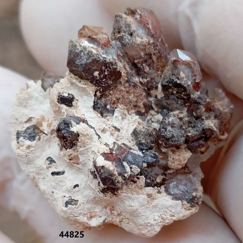 Hematite in quartz - Orange River N Cape South Africa