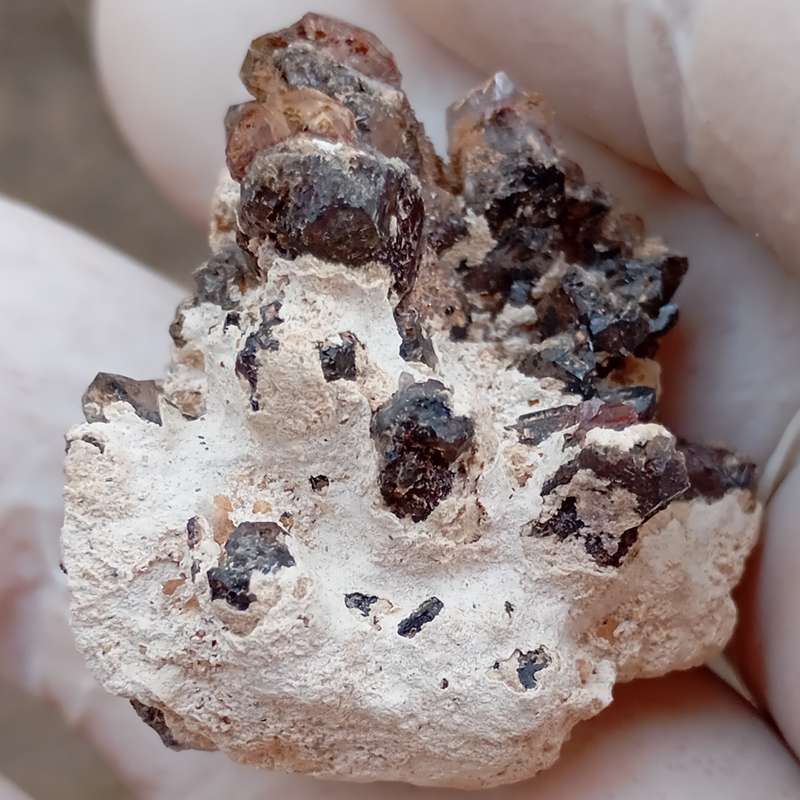 Hematite in quartz - Orange River N Cape South Africa