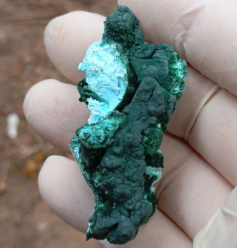 Malachite chrysocolla heterogenite - Tenke Fungurume mine DRC Congo
