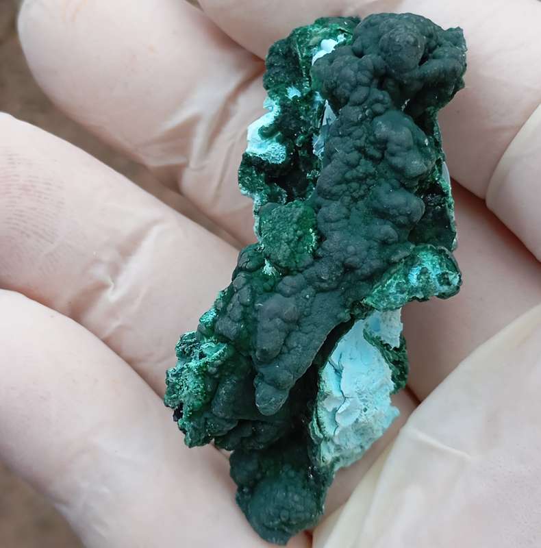 Malachite chrysocolla heterogenite - Tenke Fungurume mine DRC Congo