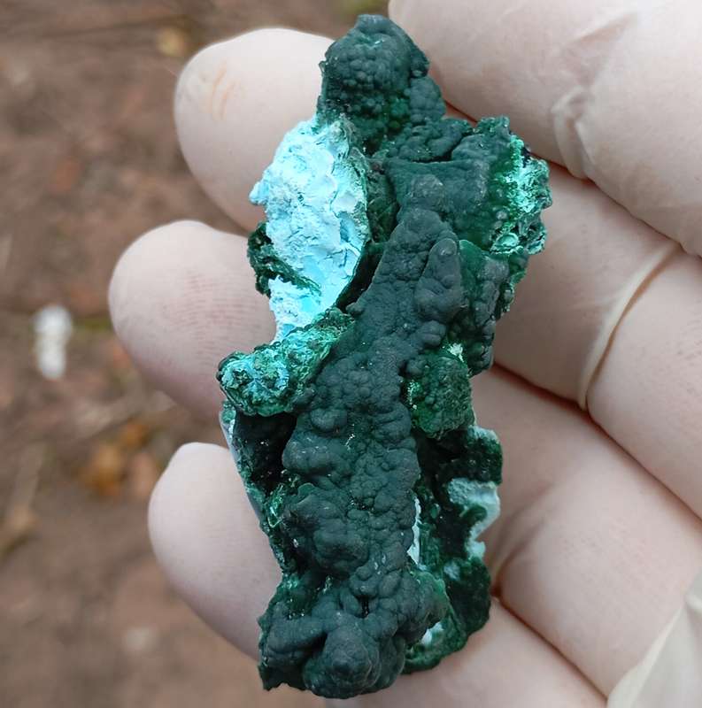 Malachite chrysocolla heterogenite - Tenke Fungurume mine DRC Congo