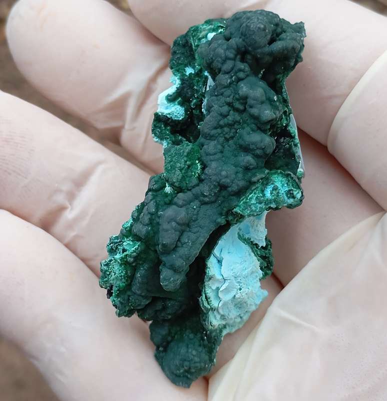 Malachite chrysocolla heterogenite - Tenke Fungurume mine DRC Congo